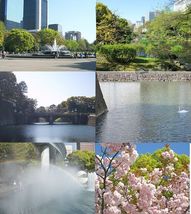 日比谷公園と皇居10