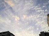 空を見ると雲
